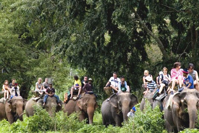 Khao Sok Jungle Tour