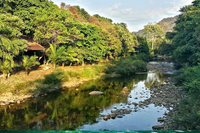 Khao Sok Jungle Tour