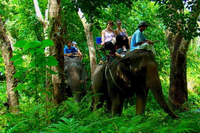 Khao Sok Jungle Tour