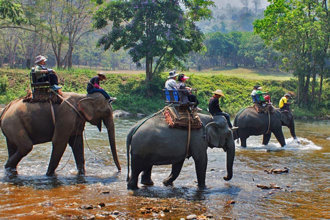 Khao Lak Jungle Safari Tour