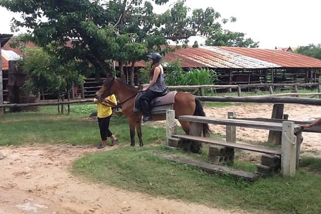 Horse Ridding