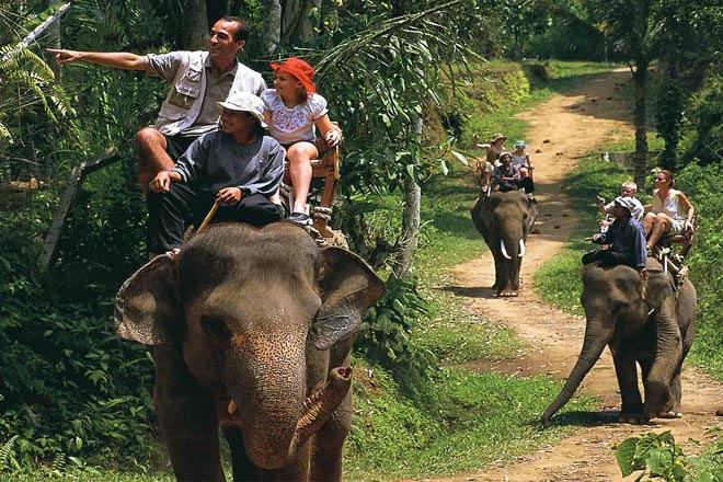 Elephant Trekking