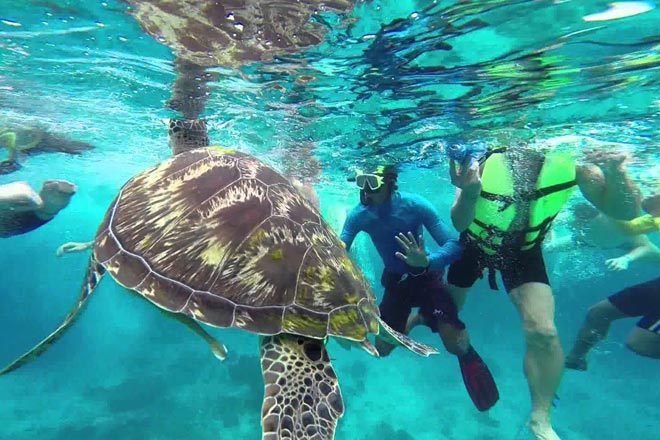 Similan Island Tour