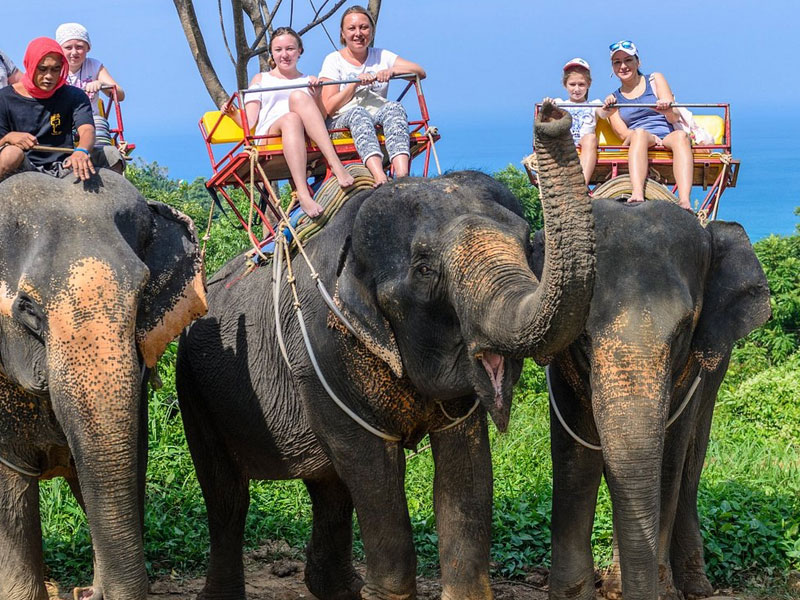 ATV Bike + Elephant Trekking