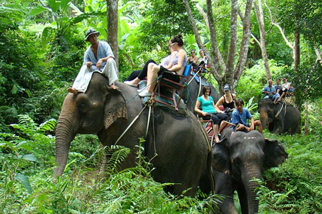 Private Khao Sok Tour